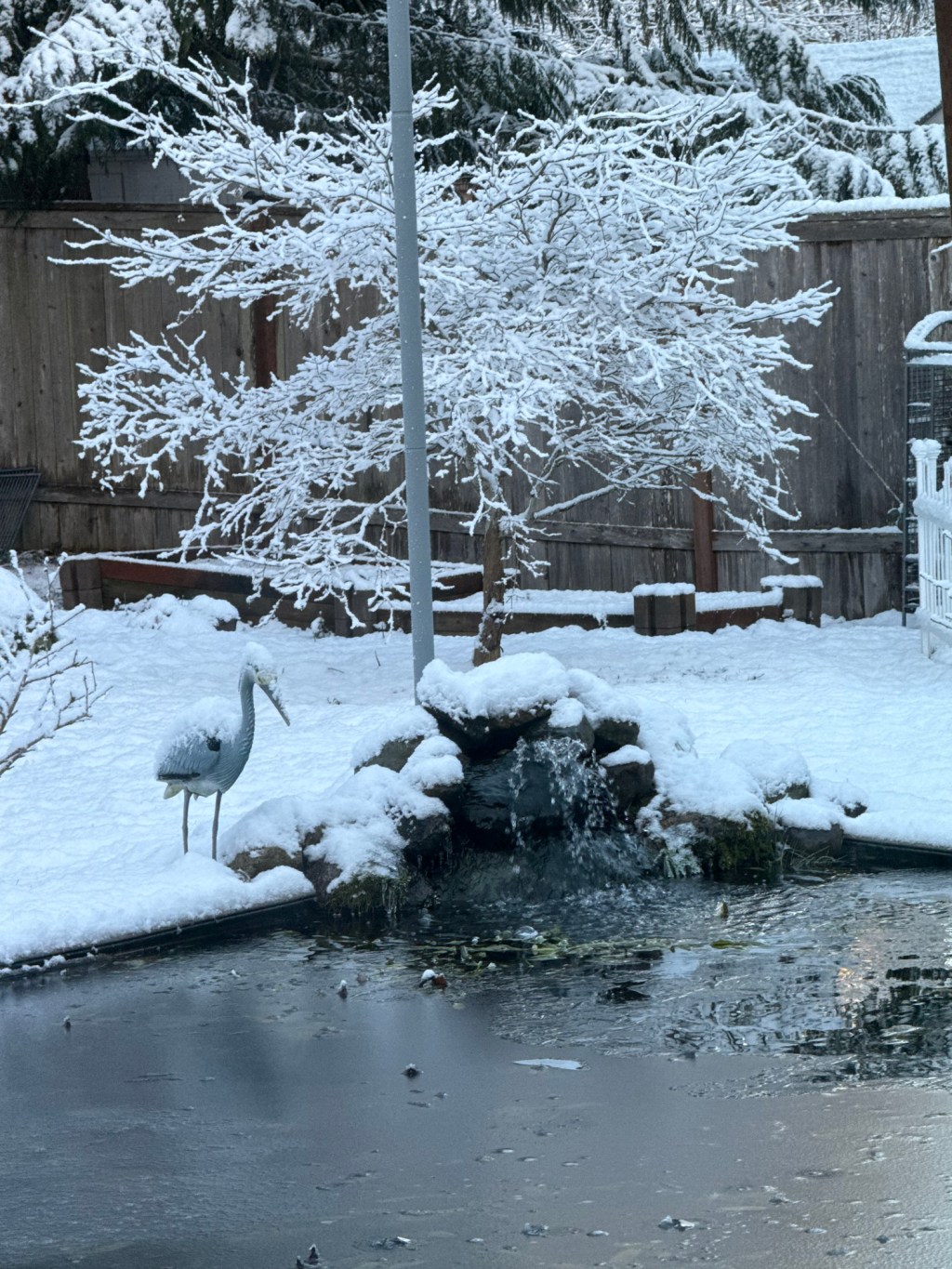 Disney Quarterly Results